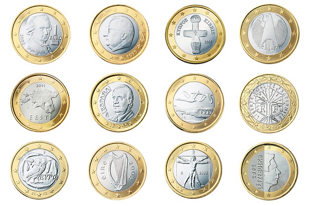 zadní strana euromincí